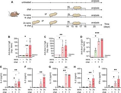 A murine model of peanut-allergic asthma